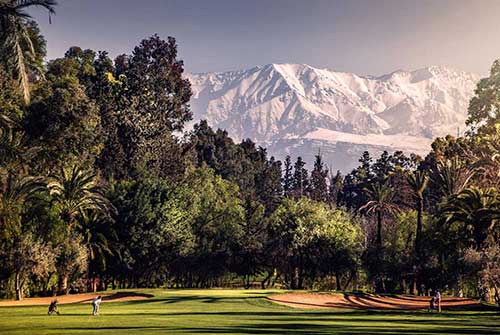 Iberostar 7+3